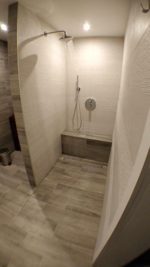 Maison Des Ecluses Strasbourg F3 90M2 Jacuzzi Climatisation Екстериор снимка